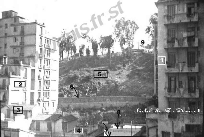 Alger : rue Levacher.